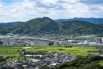 夏の藤枝市の街並み