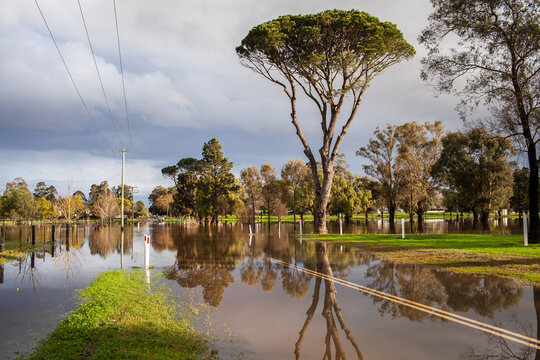 reflection of tree in flood water over road in town near golf course