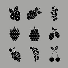 Berries icon set. Black sign wild berries with white outline. Berry icon isolated. Flat icon strawberry, blueberry, raspberry, currant, gooseberry, barberry, cherry. Vector illustration