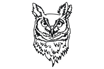 Owl Head Line Art Vector