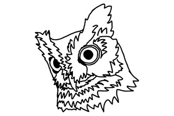 Owl Head Line Art Vector