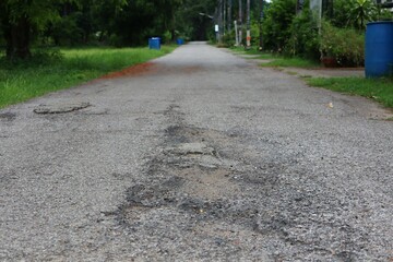 road in the forest