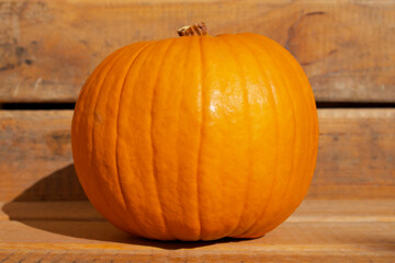 a big orange pumpkin in a soft evening sunlight against a wooden wall