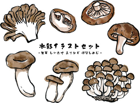 さまざまなきのこのベクター水彩イラストセット 絵手紙風