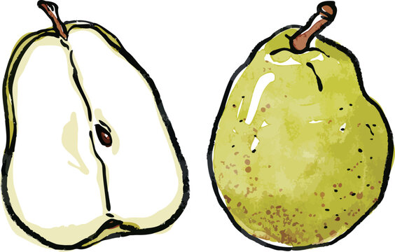 手書きイラスト Images Browse 1 107 Stock Photos Vectors And Video Adobe Stock