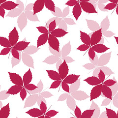 Obraz premium Autumn wild leaves abstract pattern