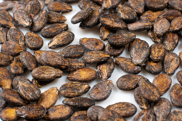 Dried watermelon seeds on a white background macro top view.