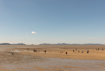 Beautiful memories on the tidal flats