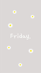 Daisy with grey background with phrase Friday. Make your beautiful Friday