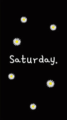 Daisy with black background with phrase Saturday. Make your beautiful Saturday