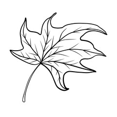 black and white leaf