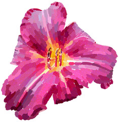 Realistic illustration of flower. Depiction of pink plant. Decoration for cards, invitations. Floral. - 528481743