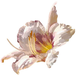 Realistic illustration of flower. Depiction of white plant. Decoration for cards, invitations. Floral. - 528482126