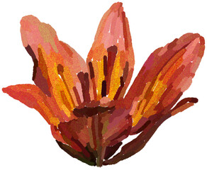 Realistic illustration of flower. Depiction of orange plant. Decoration for cards, invitations. Floral. Lily. - 528482966