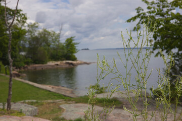 St. Lawrence River in Thousand Islands National Park