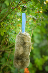 Soft fluffy fleece toys for dog. soft toy from fleece suitable for every dog and cat