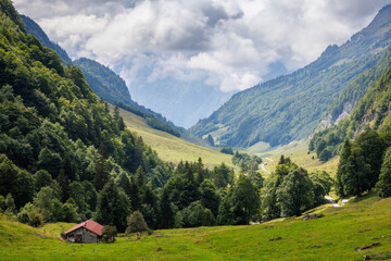 Fototapeta premium view through Gental