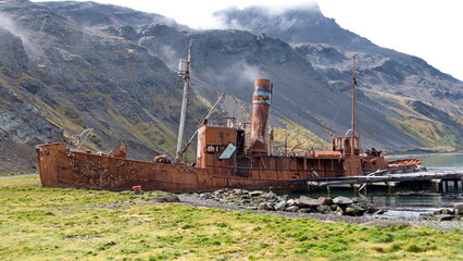 Rusted whaling ship beached at the old whaling station at Grytviken, South Georgia Islands - obrazy, fototapety, plakaty