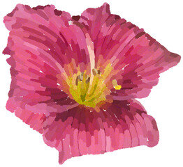 Realistic illustration of flower. Depiction of pink plant. Decoration for cards, invitations. Floral. - 528485574