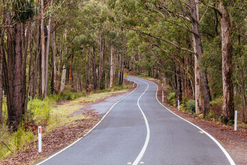 Obraz premium Woods Point Rd Drive in Victoria Australia