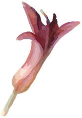 Realistic illustration of flower. Depiction of pink plant. Decoration for cards, invitations. Floral. - 528486127