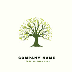 Obraz premium Vibrant tree logo design, tree vector. Tree of life logo design inspiration