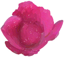 Realistic illustration of flower. Depiction of pink plant. Decoration for cards, invitations. Floral. Rose. - 528486792