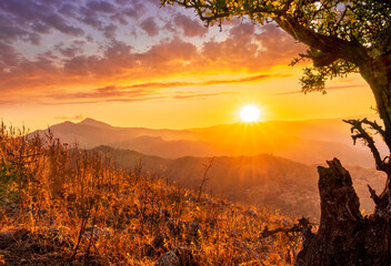 picturesque view from under the branch of a tree on a mountain slope to a mountains and sunset or sunrise valley with anazing clouds and glow