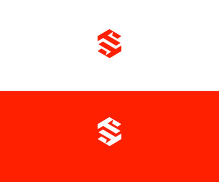 T, TT, ST, TS Letter Logo Vector Template Abstract Monogram Symbol
