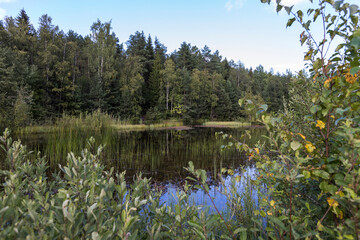 Beautiful view of the lake surrounded by forest trees. - 528489509