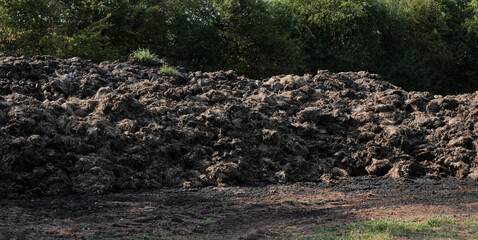 Pile of horse manure horse apples