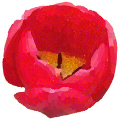 Realistic illustration of flower. Depiction of red plant. Decoration for cards, invitations. Floral. Tulip. - 528490998
