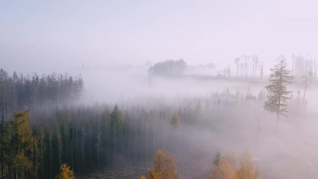 Aerial view of autumn sunrise countryside, traditional fall landscape with rising sun in Central europe. Foggy and misty sunrise. Frozen landscape from bird eye. Czech Republic,Vysocina highland