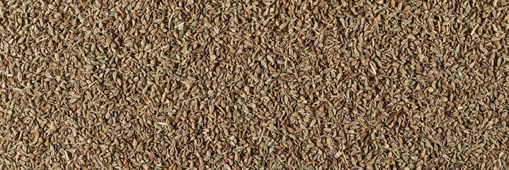 Anise seeds spice (Pimpinella anisum) texture, top view 