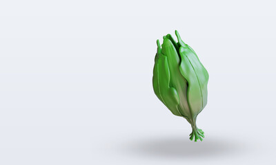 3d Vegetable Spinach rendering top view