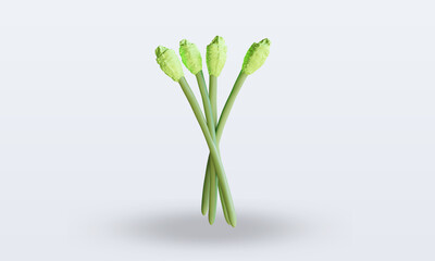 Fototapeta na wymiar 3d Vegetable Asparagus rendering front view
