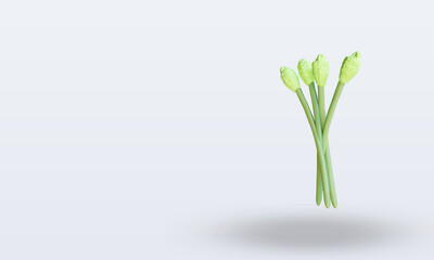 3d Vegetable Asparagus rendering right view
