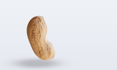3d Vegetable Peanut rendering left view