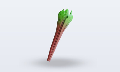 3d Vegetable rhubarb rendering front view