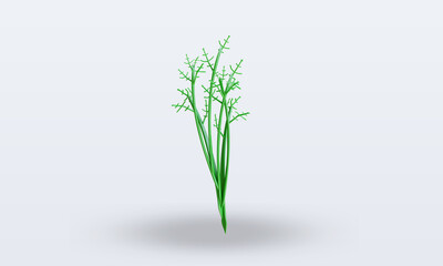 3d Vegetable Dill rendering front view