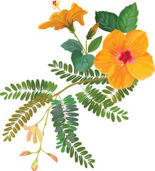 hibiscus and tamarins leaves  