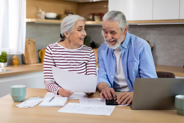 Portrait Of Cheerful Elderly Spouses Sitting In Kitchen And Checking Financial Papers