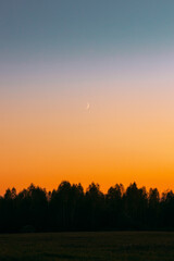 Fototapeta na wymiar Sunset And Moon Rising Above Forest. Dramatic Sunset Background. Crescent Above Trees. Night Coming. Bright Blue And Orange Colors. Vertical Photo.