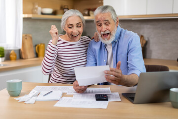 Portrait of excited senior spouses with papers celebrating good news in kitchen
