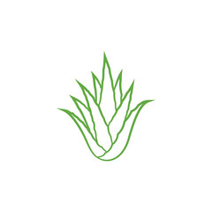 Green aloe vera plant icon design. Aloe vera leaf icon. Aloe vera plant icon. Vector illustration