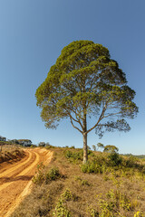 natural landscape in the city of Sao Tome das Letras, State of Minas Gerais, Brazil
