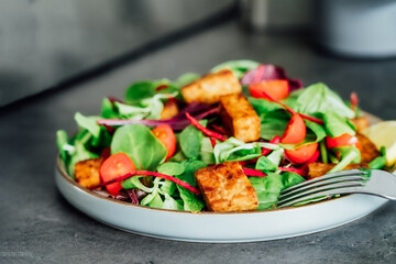 Healthy salad with roasted tempeh, fresh cherry tomatos, beetroot straws, spinash and lettuce leaves on plate. Tempeh is fermented soy bean. Plant based protein. Healthy Cooking and eating. Go vegan