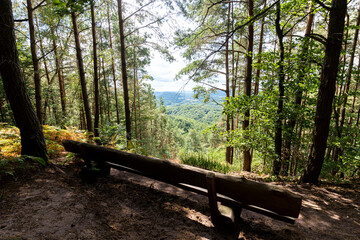 Gro&szlig;e lange Bank aus Holz zum Sitzen in einem Wald mit Ausblick auf einen Berg
