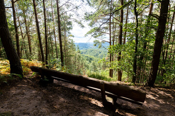 Große lange Bank aus Holz zum Sitzen in einem Wald mit Ausblick auf einen Berg