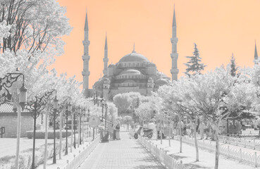Fototapety na wymiar - Fototapeta24.pl